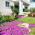 Villa Vinsun *