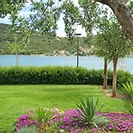 Vinsun *